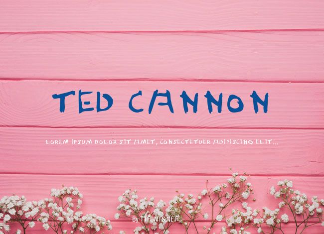 Ted Cannon example